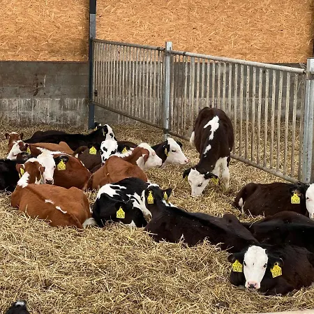 Appartement Karensminde *