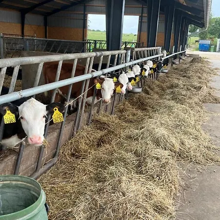 Διαμέρισμα Karensminde *