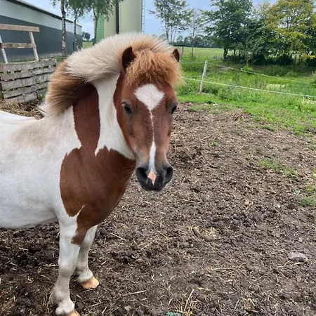 Appartement Karensminde Jelling