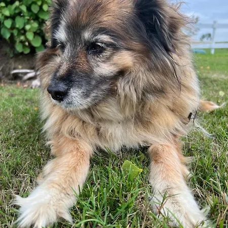 Karensminde Διαμέρισμα *